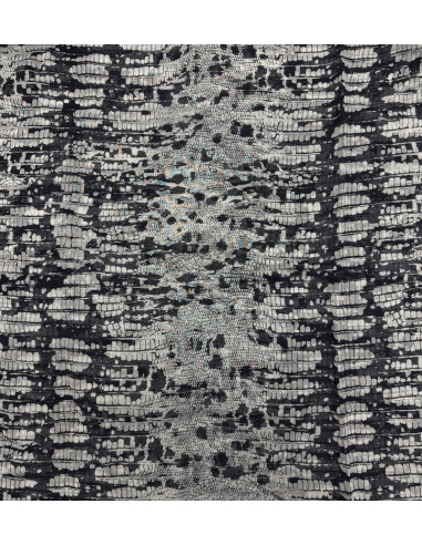 Châle Roberto cavalli